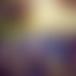 Baby Storytime: 9/17/18