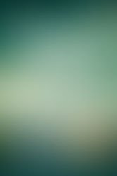 The Last Thing He Told Me by Laura Dave