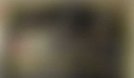 FREEDOM TO READ: Banned Book Week Bulletin Board