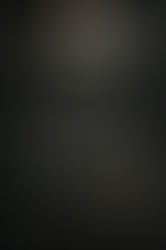 The Lonely Hearts Hotel