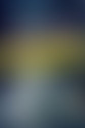 Eddie Red Undercover: Mystery on Museum  Mile