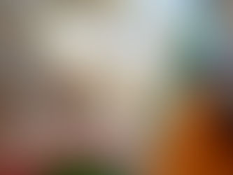 Virtual 4-6th Grade Book Club