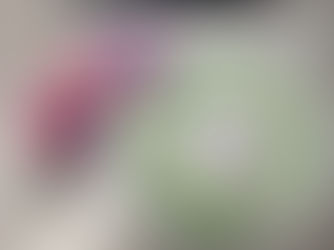 4-6th Grade Virtual Book Discussion: Boy Bites Bug w/ DIY Chromatography Butterfly