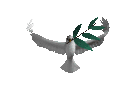 colombe_001.gif