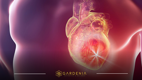 The Benefit of Semaglutide in Cardiovascular Health: A Guide for Better Heart Health