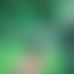 パフォーマンスを最大化