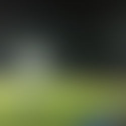 ずっと動けるオッサンで