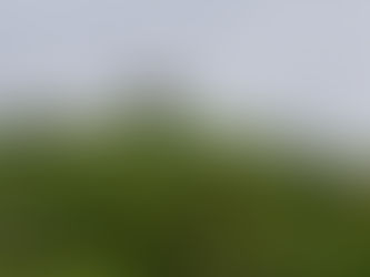 The Weirdness of Worcester