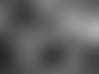 The Birmingham Necropolis