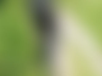 The Haunted Barrows of Gloucestershire