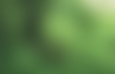 A Lost Graveyard in the Wyre Forest