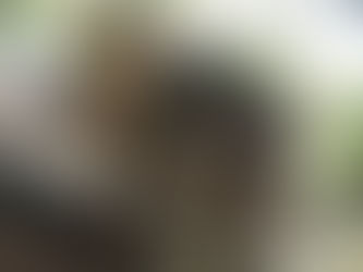 Megaliths & Mounds of Bredon Hill