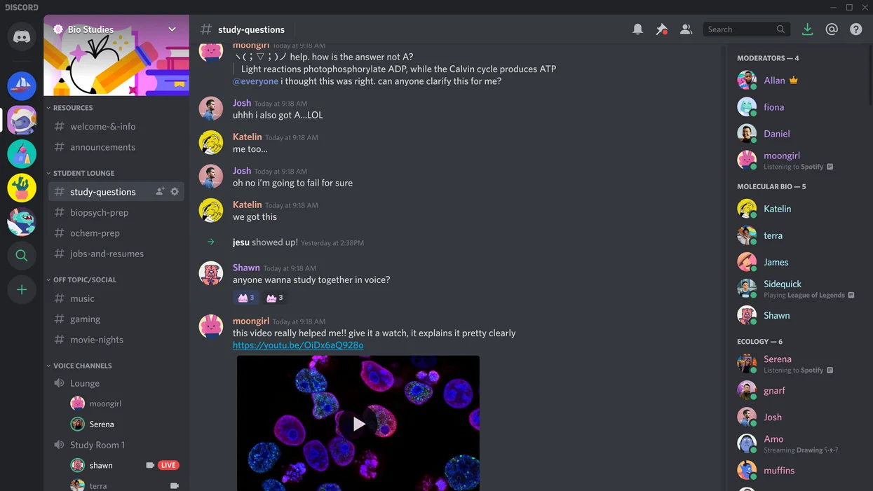 discord-chat.webp
