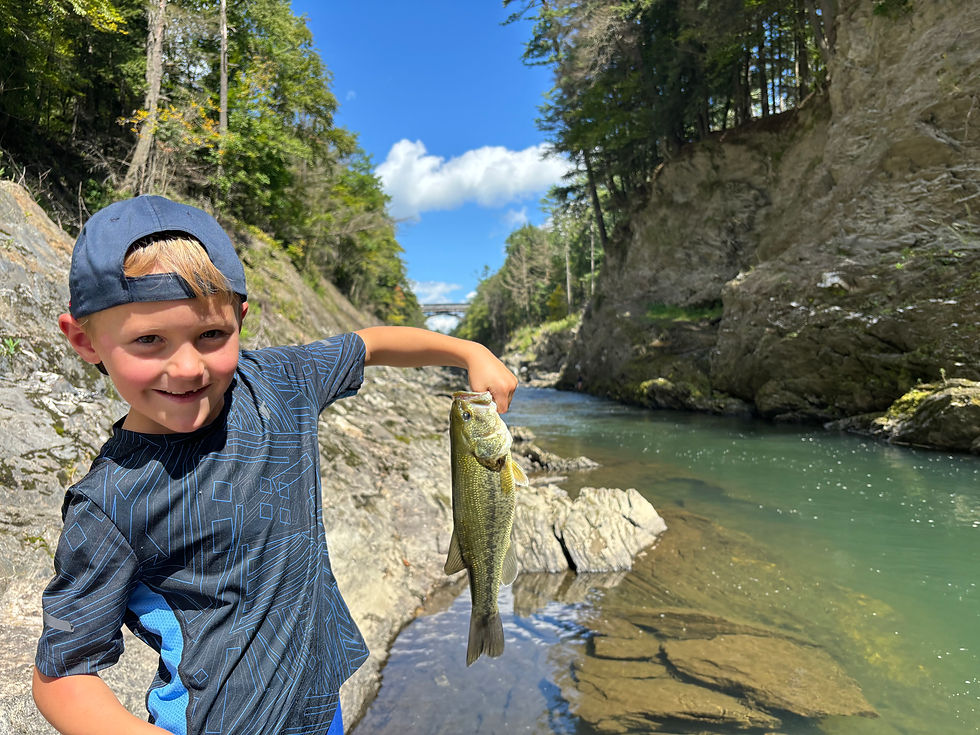 A young boy holds a fish in front of Quechee gorge