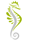 logo (2).png