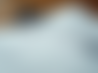 Creating a Standout Resume for Future Career Success