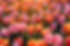Screenshot 2025-03-12 at 11.23.25 AM.png