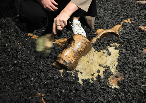 Screenshot 2025-05-01 at 2.38.45 PM.png