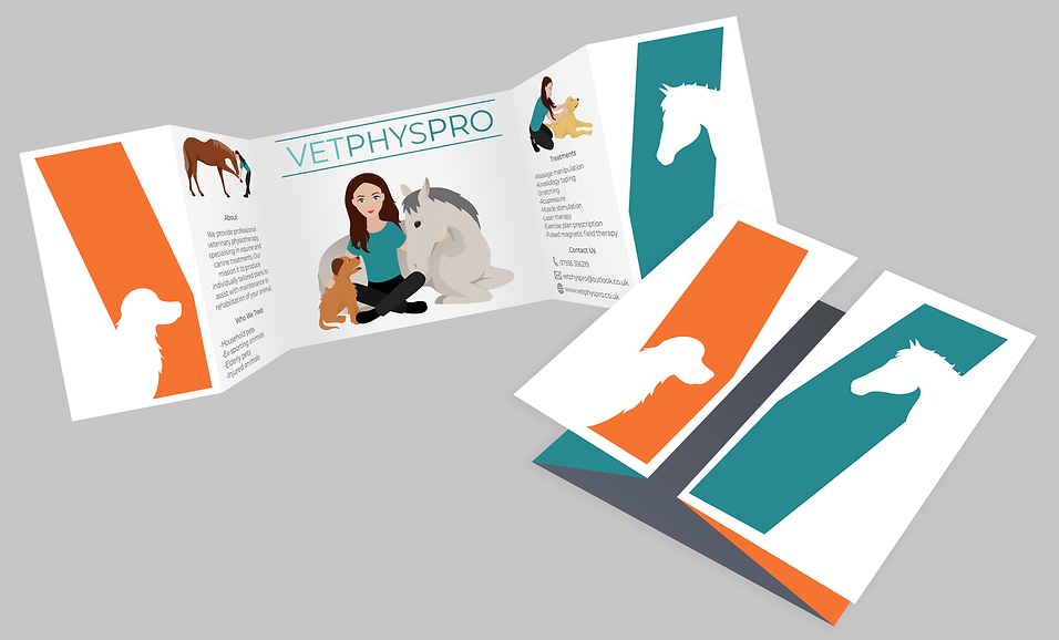 Vetphyspro leaflet