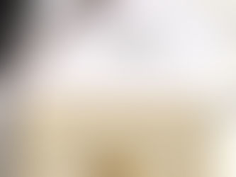 1:1 Mirror Celine Triomphe Shoulder Bag in White Triomphe Canvas and Calfskin