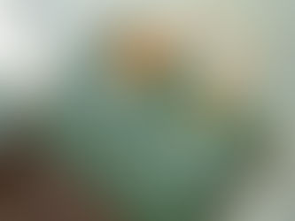 1:1 Mirror Louis Vuitton Speedy P9 Bandoulière 40 Green Monogram M24417