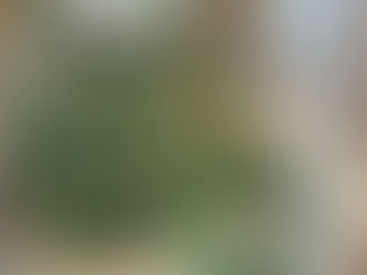 1:1 Mirror ABCDior Lady Bag in Green Cannage Lambskin With Customizable Shoulder Strap M0538OCAL_M52H