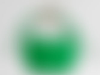 1:1 Mirror Chloe Kiss Small Purse in Vibrant Green Small Grain Calfskin CHC21US350E4839T