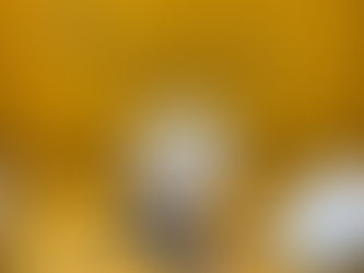 1:1 Mirror Louis Vuitton Slippy Coin Purse Multicolor Monogram M15140