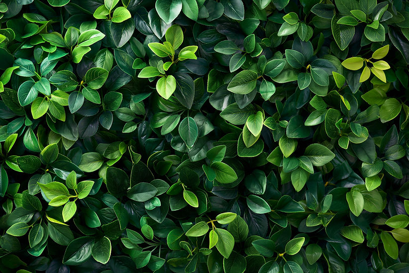 Artificial Green Plant Wall Exhibit, a variety of artificial green plants arranged in a de