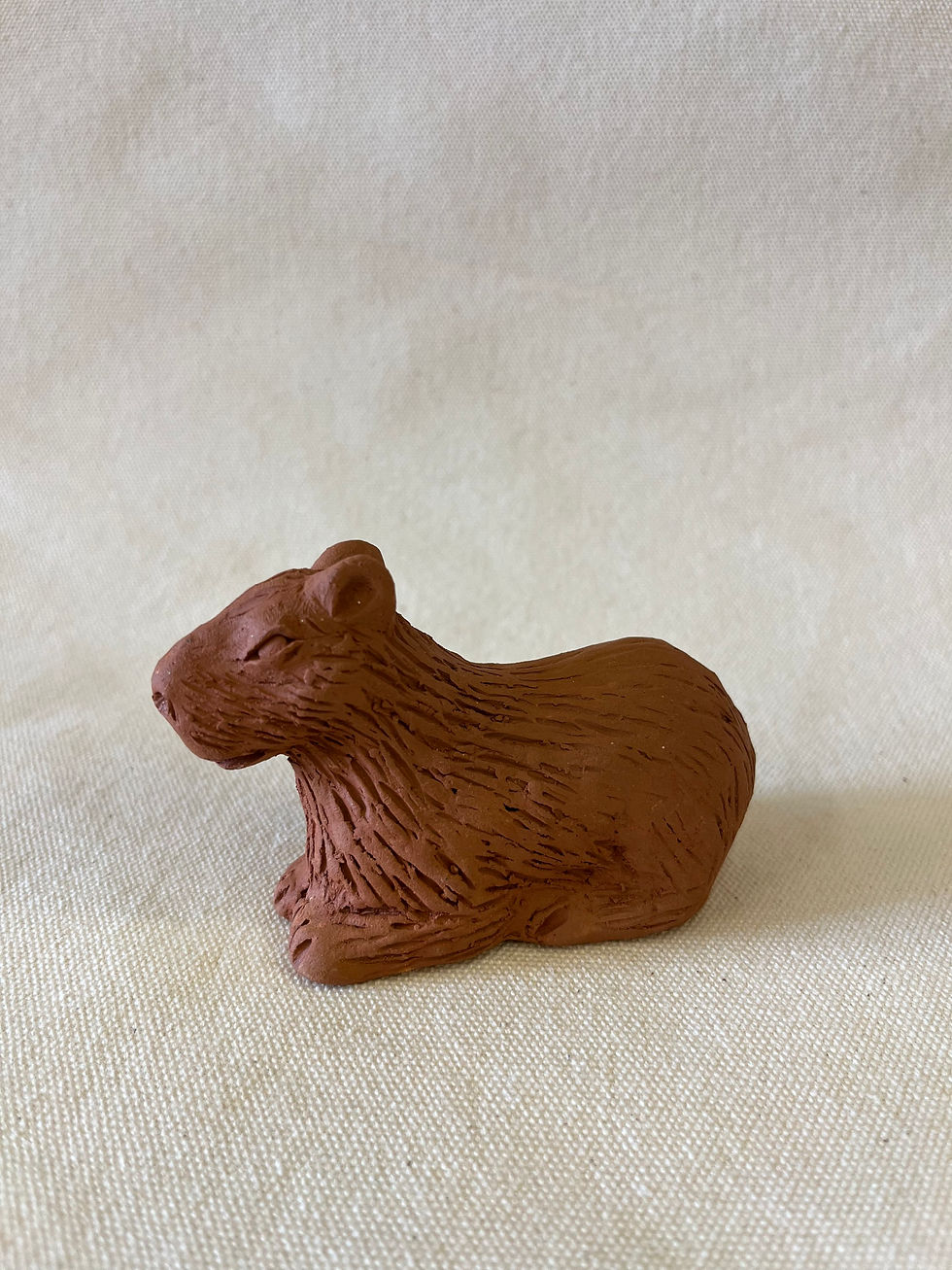 Miniatura: Capivara baby 