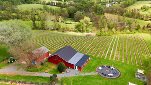 Carriage House Wineworks: An Exceptional Entry into Virginia Wine Country