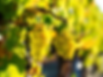 5887 Cross Keys Rd, Mount Crawford, VA