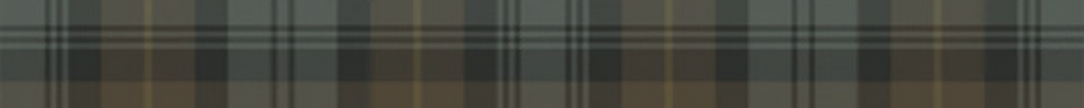 Tartan (1).png