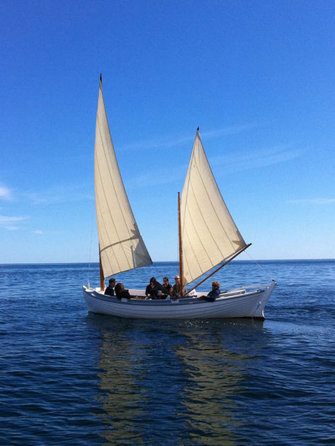 Scenic Cruises/Whale Watching/Fishing Charters