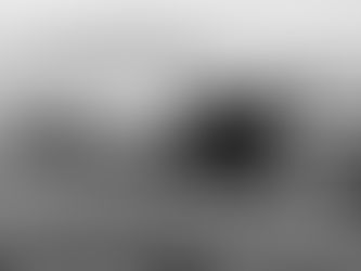 Back Home to Scotland