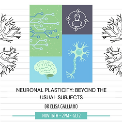 BioTalk with Dr Galliano