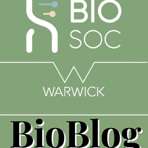Newsletter: Issue 2