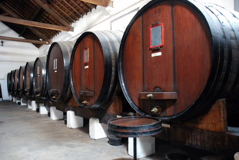 MUSEU NACIONAL DO VINHO