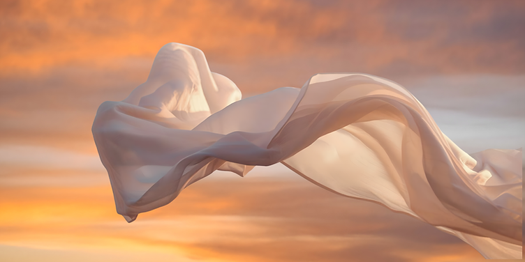 Main Page Banner Image.PNG