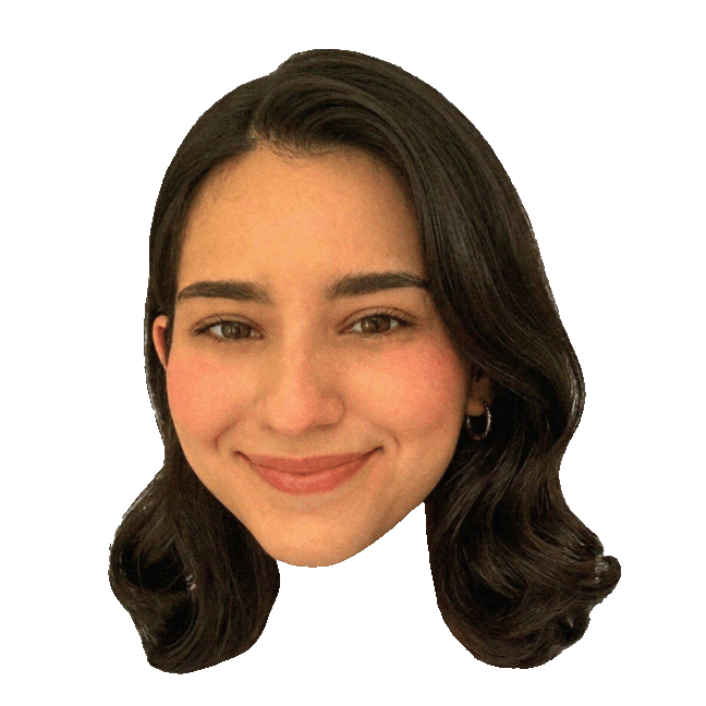 4.gif