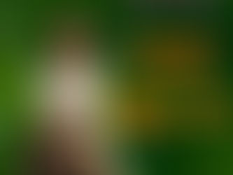 낭월동마사지샵 60분코스