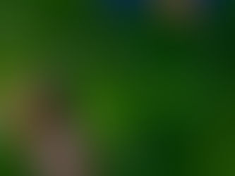 추동타이마사지 이용후기