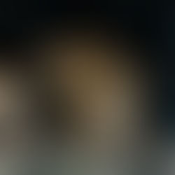 Conoce la zona con gran plusvalía