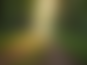 About success and failure