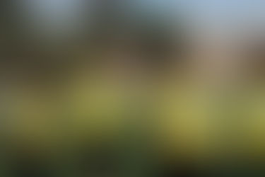 النادي البنزرتي