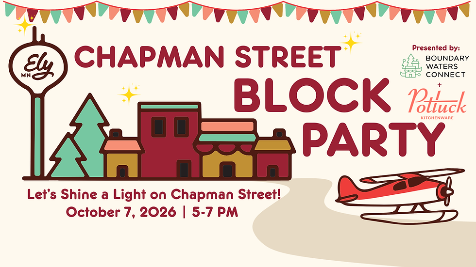 Chapman Street Block Party