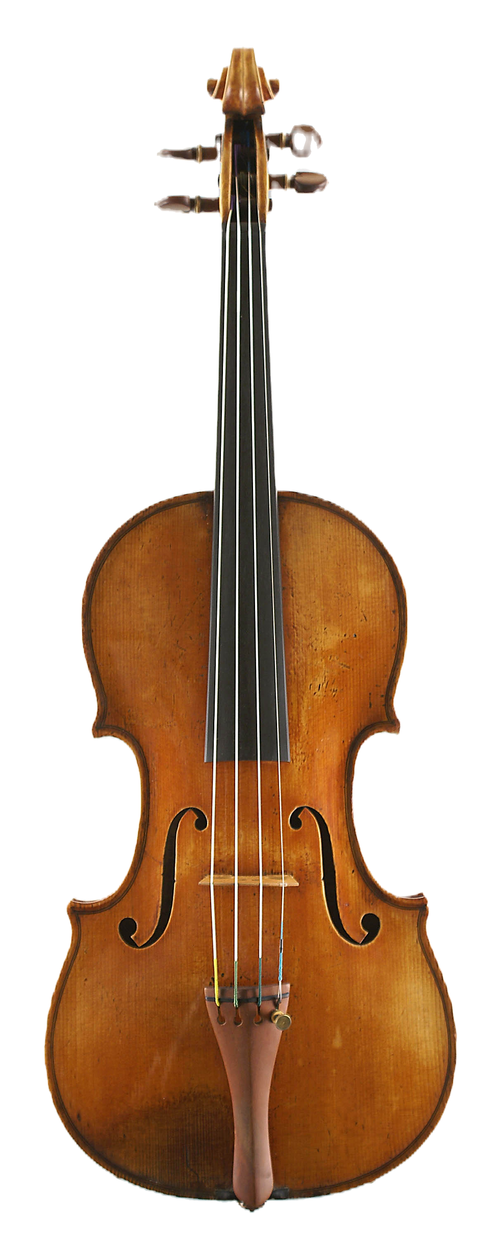 A Violin by Giuseppe Rocca