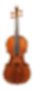 A Violin by Carlo Antonio Testore