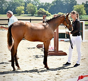 Charlie Conformation.jpg