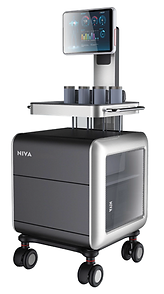NIVA COMPLETE.png
